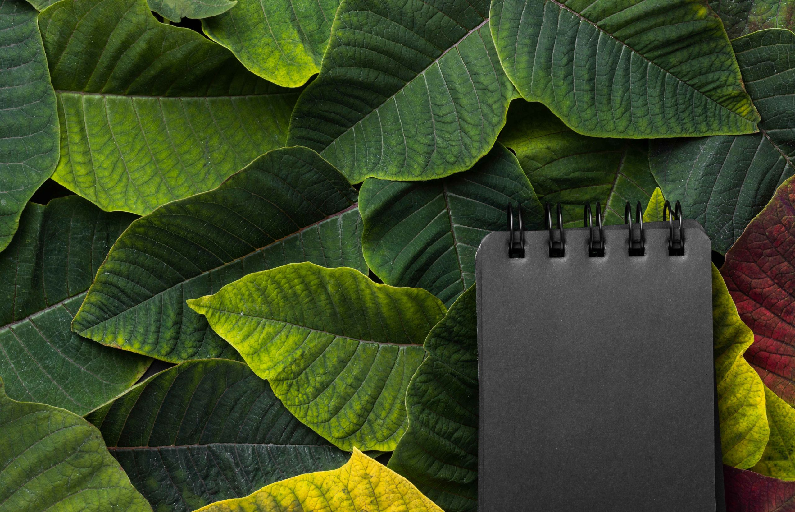 2025 yıllık izin hesaplama tablosu